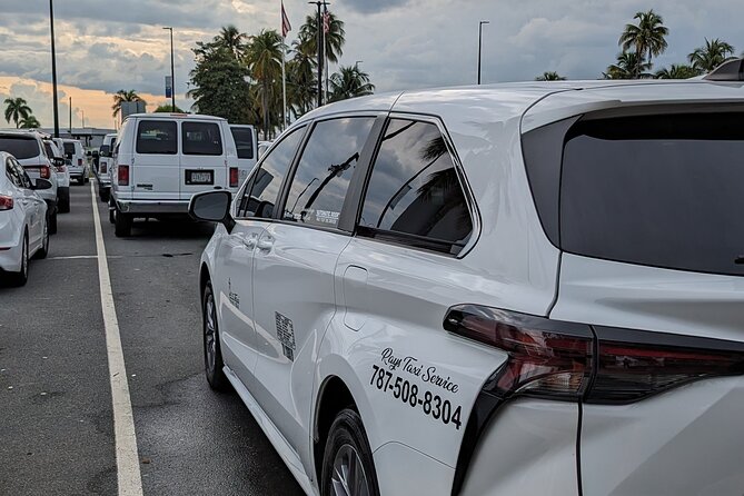 6 Hours Private Sightseeing Tour on Westside of Puerto Rico