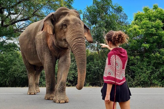 7 Days Private Guided Tour in Around Sri Lanka - Arrival and Welcome