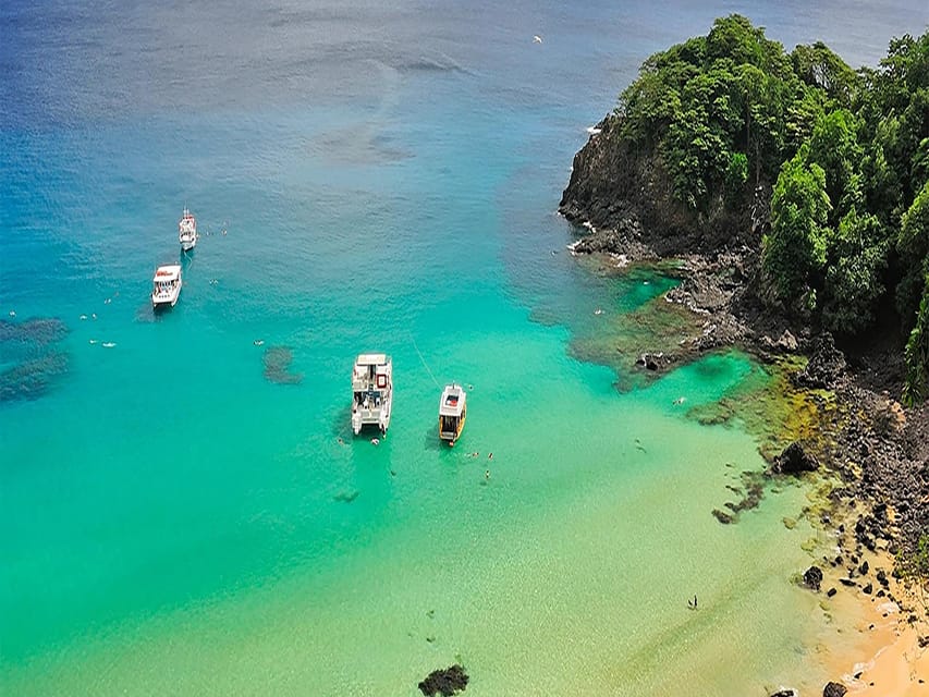 11 Best Tours in Fernando De Noronha