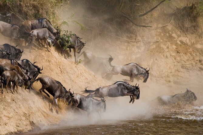 8 Days Follow the Wildebeest Migration River Crossing Safari