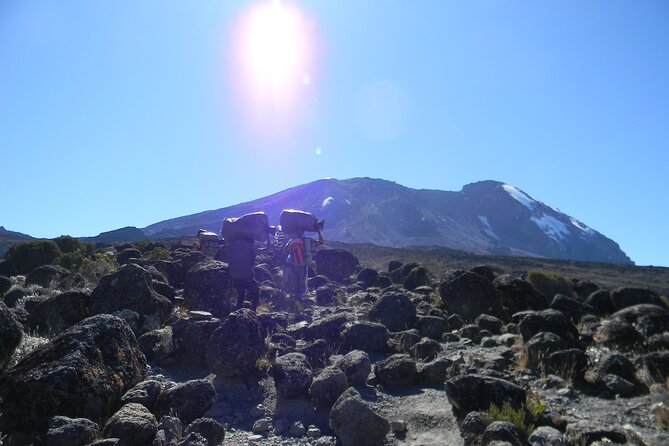 8 Days Kilimanjaro Climbing { Hiking } Tour via Lemosho Route