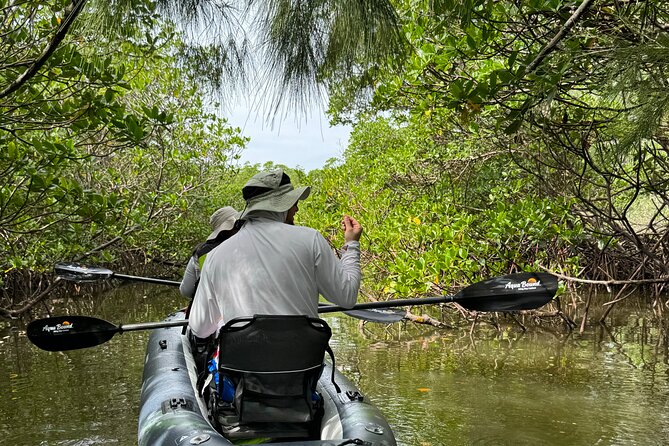 8-Hour Jungle Tour and Lagoon Passage to the Ocean in Fort Pierce