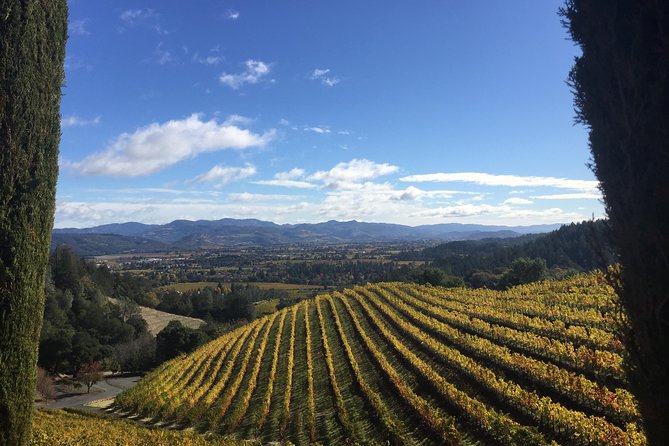 8-Hours Napa Wine Tour From San Francisco Private Crossover up to 6 People
