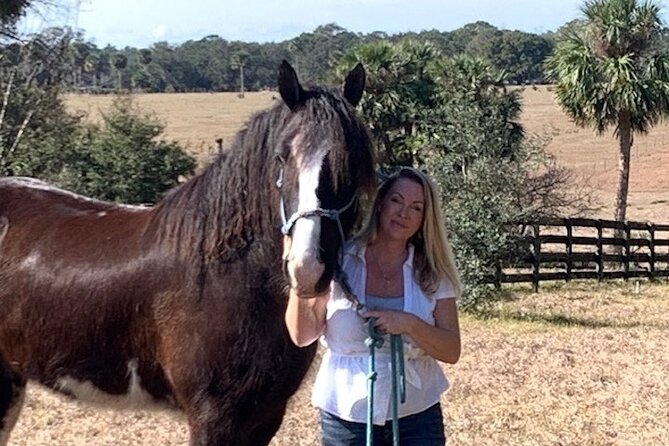 90 Minutes of Mindfulness With Draft Horses in Florida