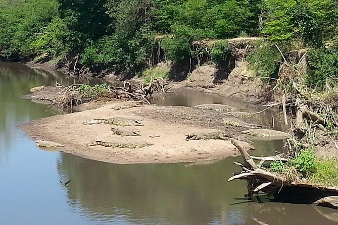 A Day Trip to Saadani National Park From Dar Es Salaam / Zanzibar