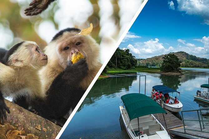 A Day With Nature: Boat Trip on Gatun Lake and The Aerial Tram