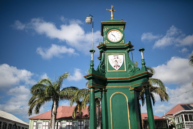A Scenic, Historical and Guided Rainforest Tour
