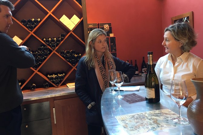 A Winey Day Out: Sauvignon Blanc Wine Tour of Sancerre and Pouilly-Fumé
