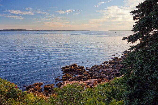 Acadia Mount Desert Island Self-Guided Driving Audio Tour - Tour Overview and Key Features
