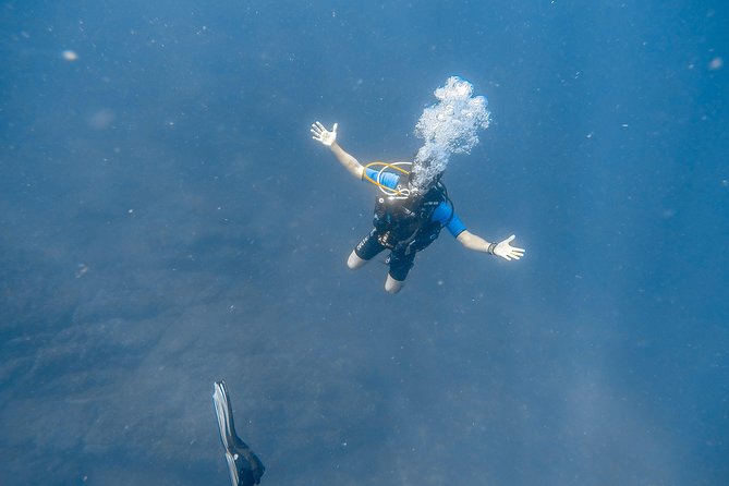 Advanced Open Water Dive Certification in Tamarindo