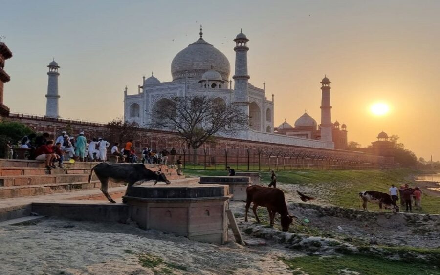 Agra: Taj Mahal Guided Tour With Lunch at 5-Star Hotel