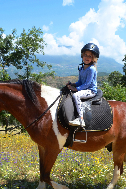Alanya: Horse Riding Club Transfer Service - Activity Overview