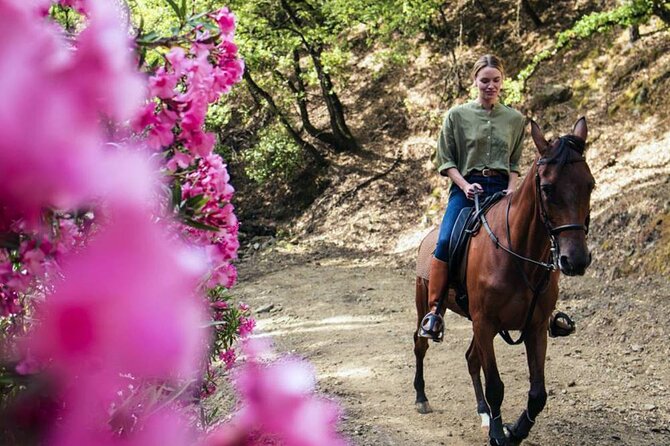Alanya Horse Riding Experience With Free Hotel Transfer - Health and Safety Considerations