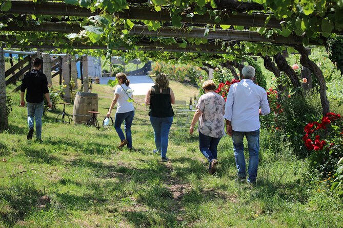 Albariño Wine Tasting With Winery Tour - Tour Overview
