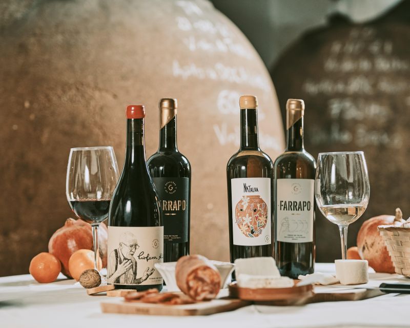 Alentejo: Visit and Taste the Tradition of Talha Wines - Wine Cellar and Tradition