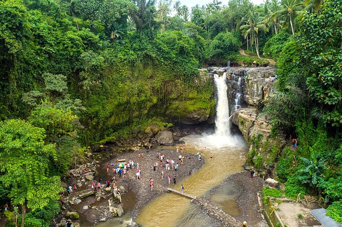 All-Inclusive Ubud Bali Private Full-Day Tour