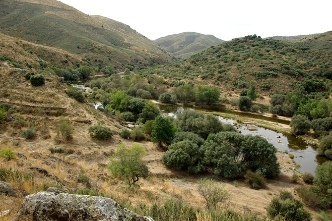 Alto Douro Walk & WineTour - Itinerary Highlights