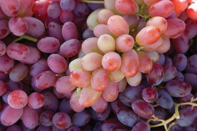 Amador County Wine Tasting Tours Max 14 Pax Private Wine Tours - Tour Overview