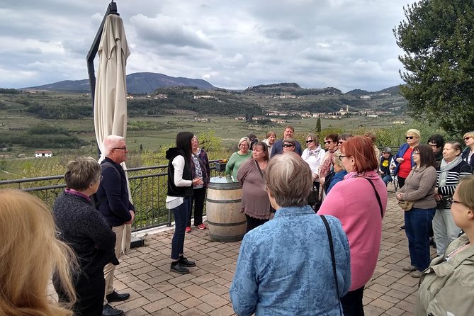 Amarone Wine Tasting in Valpolicella | 4 Wines + Snacks