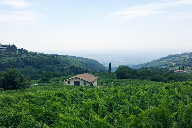 Amarone Wine Tour (All-Inclusive Full Day With Lunch and Expert Wine Guide) - Inclusions