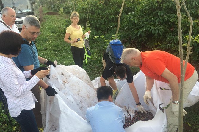 Amazing Coffee Full-Day Tour in Buon Ma Thuot – Daklak