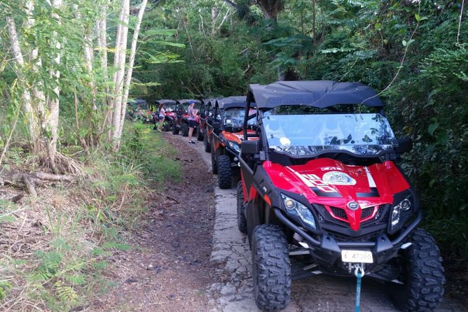Antigua Buggy Explorer Tour From St. Johns