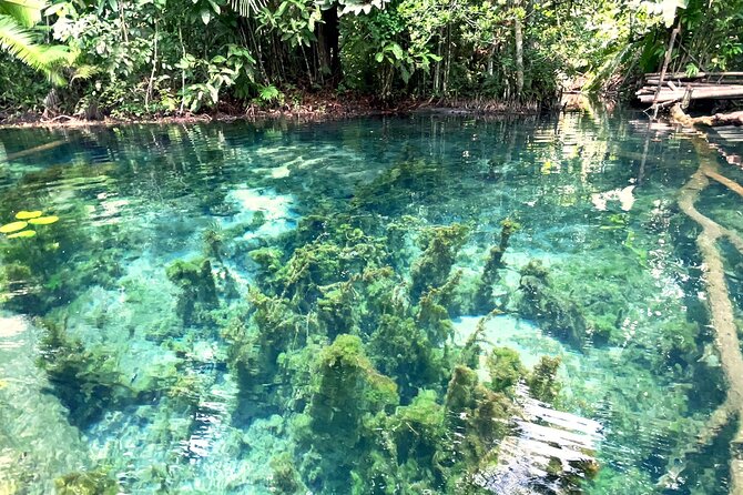 Ao Nang Kayaking at Klong Rud