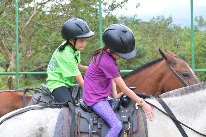 Arenal Wilberth Stable