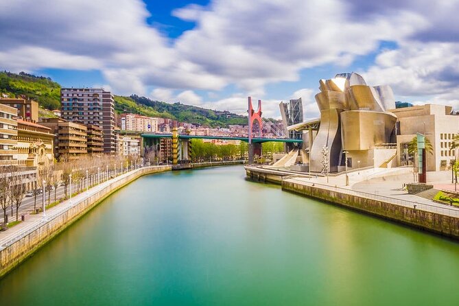 Arrival Private Transfers: Bilbao Airport BIO to Bilbao City in Luxury Van