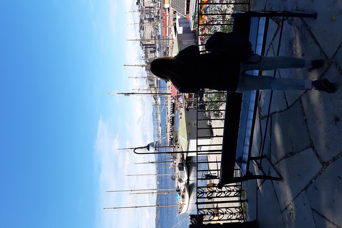 Art and Museum Tour of Oslo - Overview of the Tour