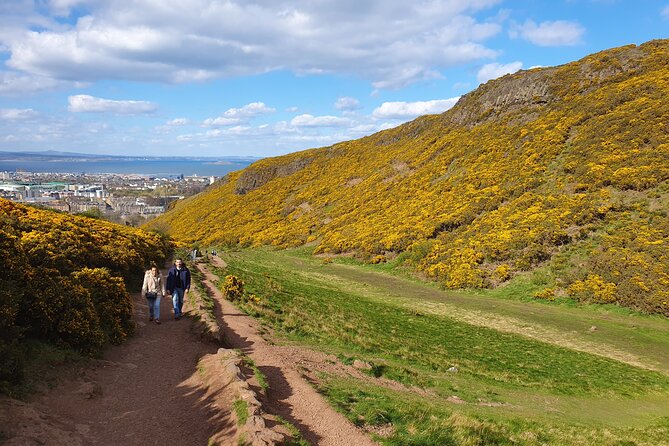 Arthurs Seat Hike With a Local Guide - Whats Included