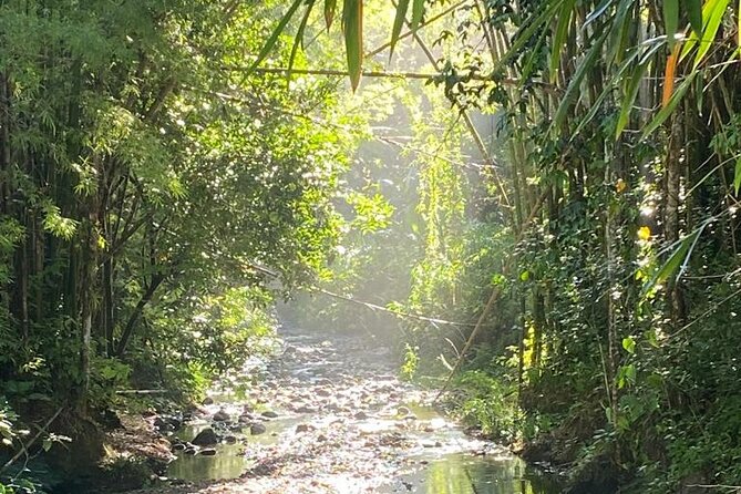 Artisan Puertorrican Winery and Distillery Tour