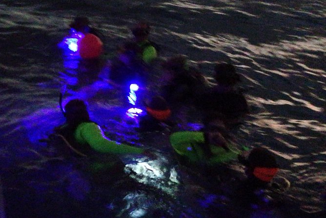 Aruba 1-Tank Guided UV Night Dive for Certified Divers With Rental Equipment