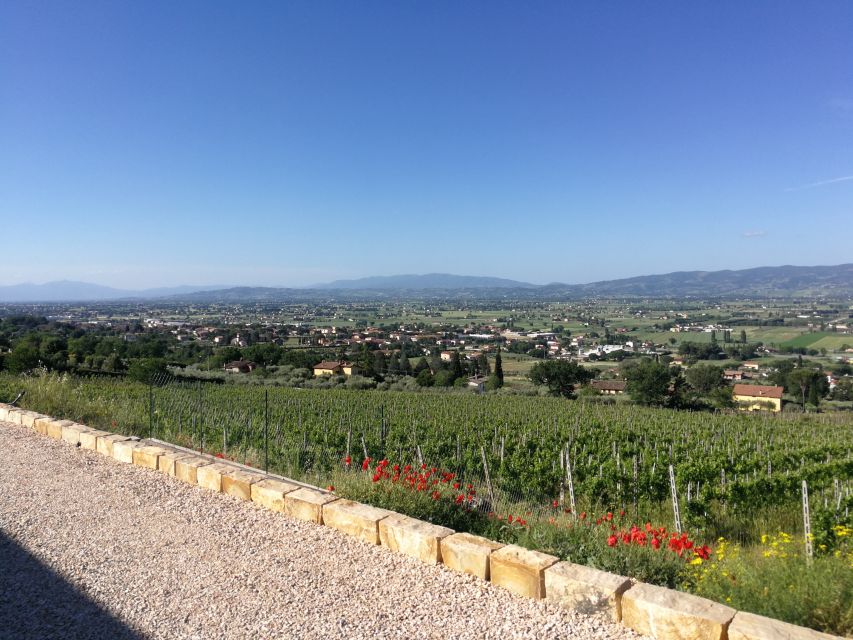 12 Best Wine Tours In Assisi