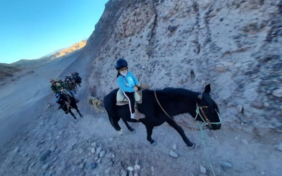 Atacama Desert: Horseback Adventure With Scenic Views