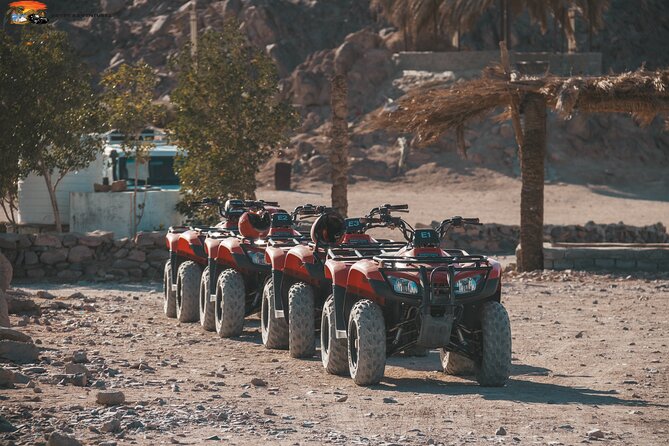 ATV Quad Safari, Camel Ride, Dinner & Party From Sharm El-Sheikh