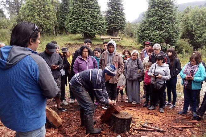 Austral / Hornopiren Road Tour