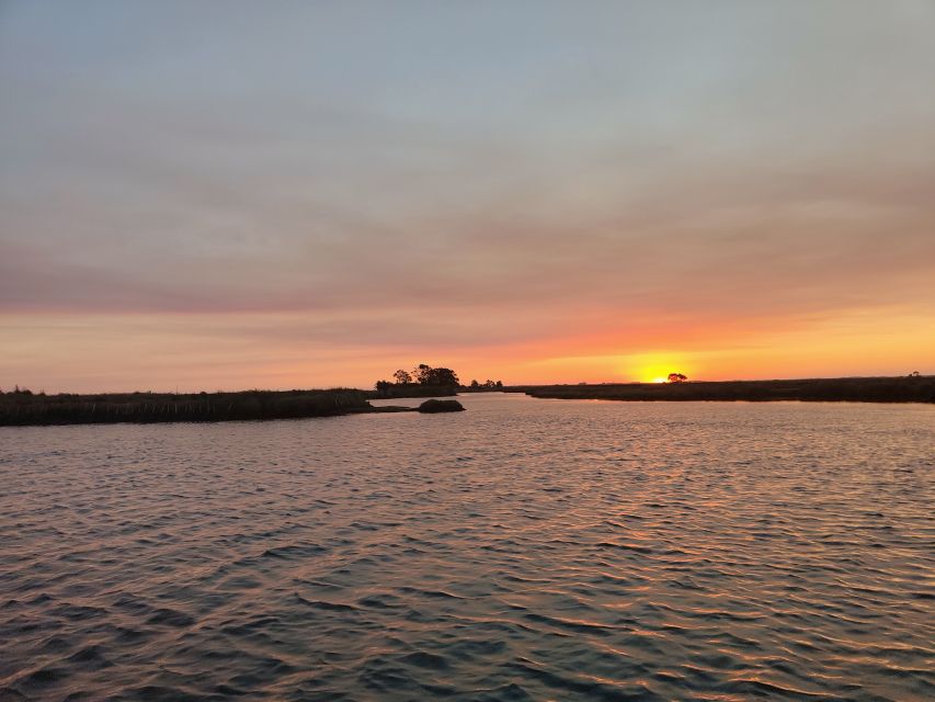 Aveiro: Ria Highlights Boat Tour