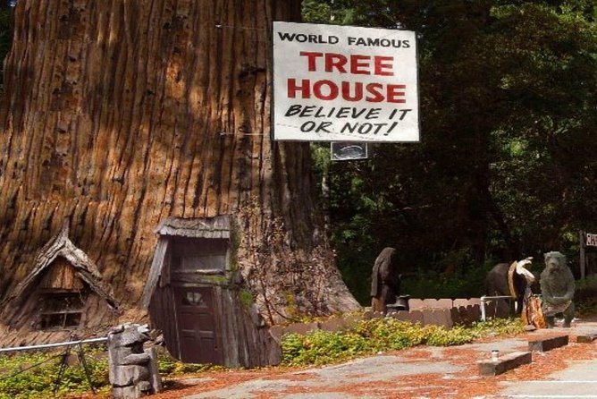 Avenue of the Giants Redwoods Private 2-Day Tour +1 Night Hotel - Tour Overview