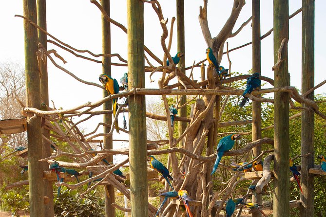 Aviario Nacional Including Playa Blanca Shared Tour