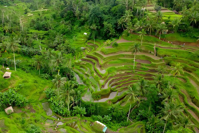 Ayung River Rafting and Ubud Waterfall Tour