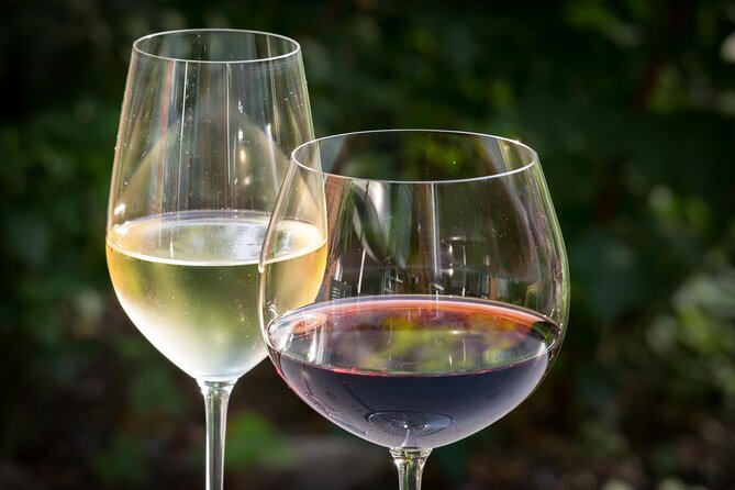 BA: Premium Argentinian Wines and Malbec Tasting in Palermo - Guided Tasting by a Sommelier