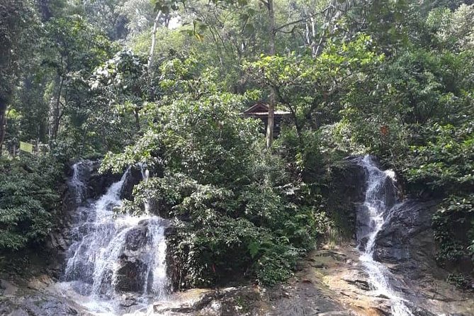 Back to Nature Tour - Templers Park, Hot Spring & Batu Caves - Tour Overview