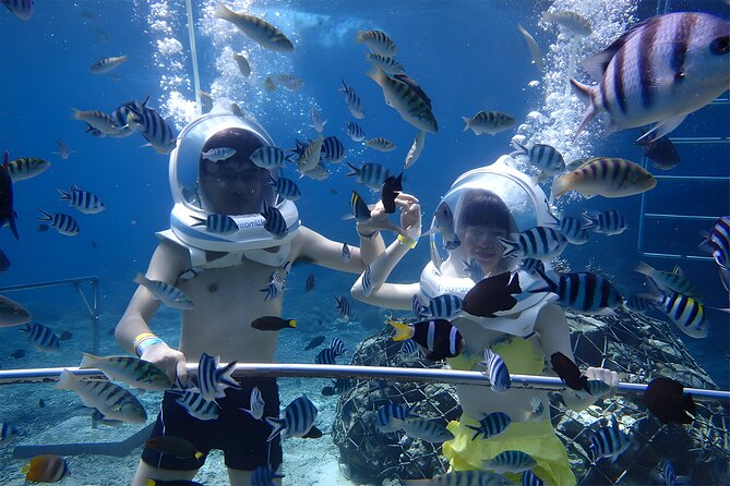 Bali Activity: Bali Sea Walking in Nusa Dua Ocean - Activity Overview