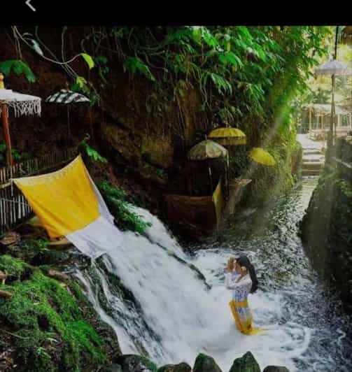 Bali: Balinese Purification at Holy Water Temple - Activity Overview