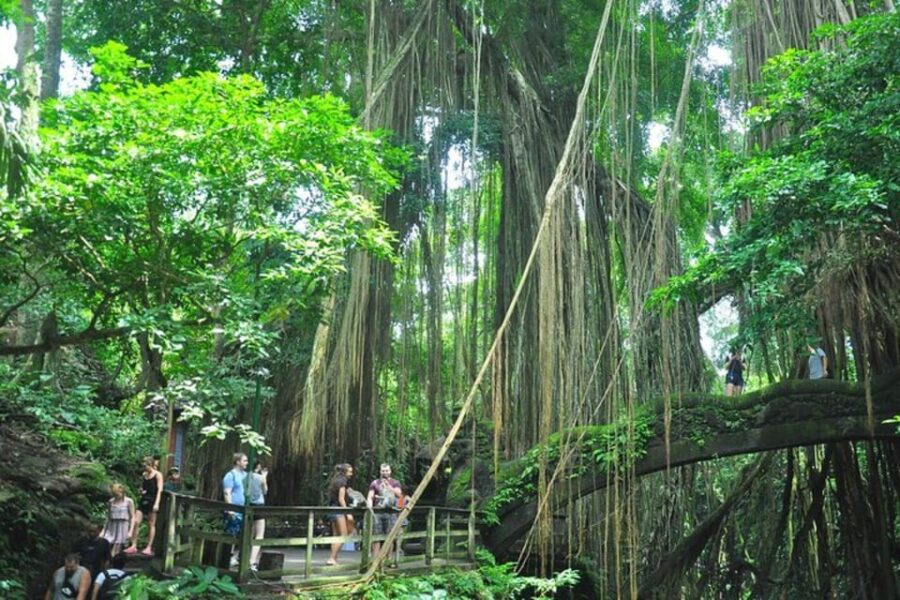 Bali Custom Tour