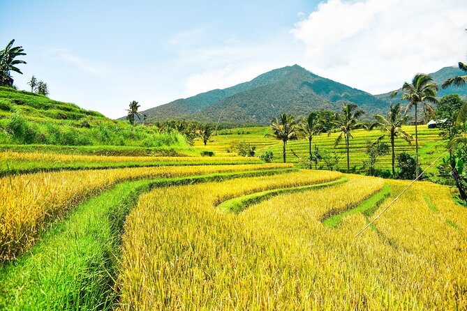 Bali Full-Day Private Customize Tour