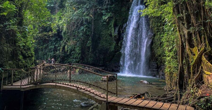 Bali Highlight: Holy Water Temple and Waterfall Day Tour