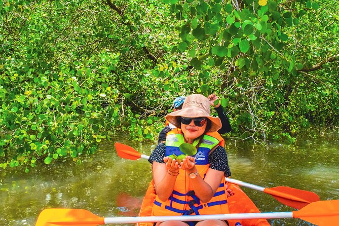 Bali Mangrove Canoeing Tour