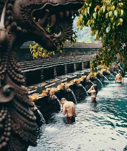 Bali: Private Day Tour in Ubud Hotel Pick Up Included